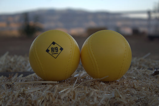 RI9 Foam Softballs (12")- 3 Pack