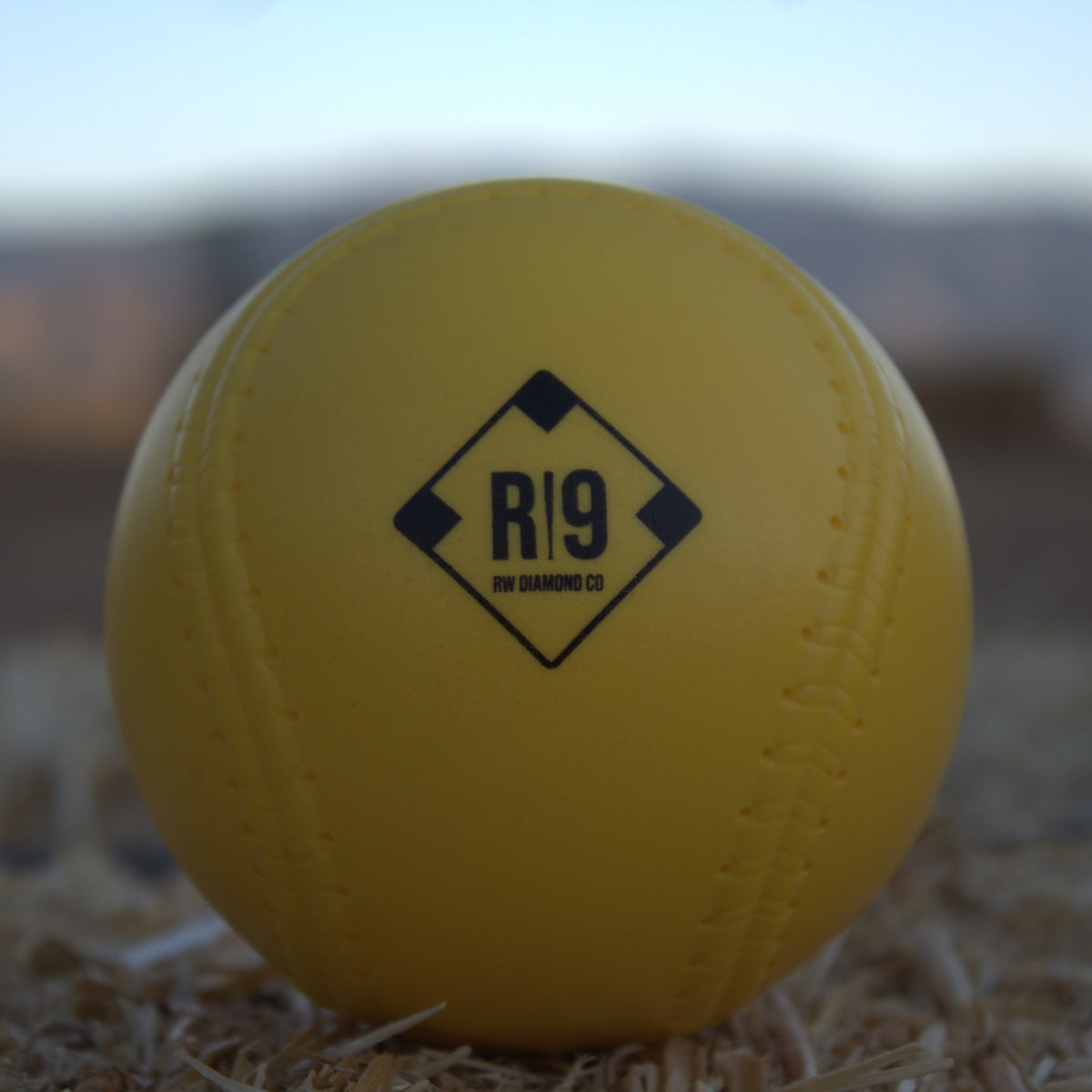 RI9 Foam Softballs (12")- 3 Pack