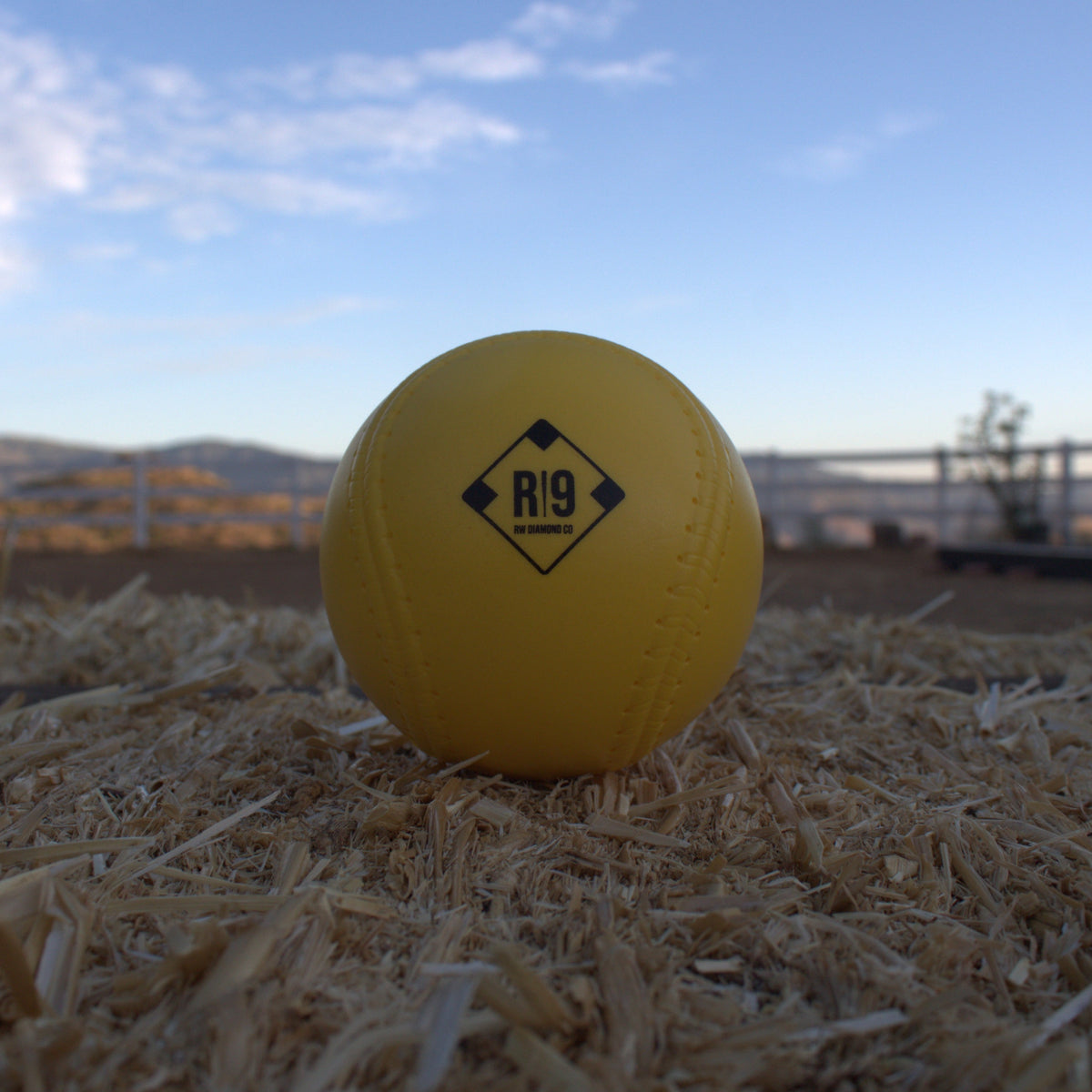 RI9 Foam Softballs (12")- 3 Pack